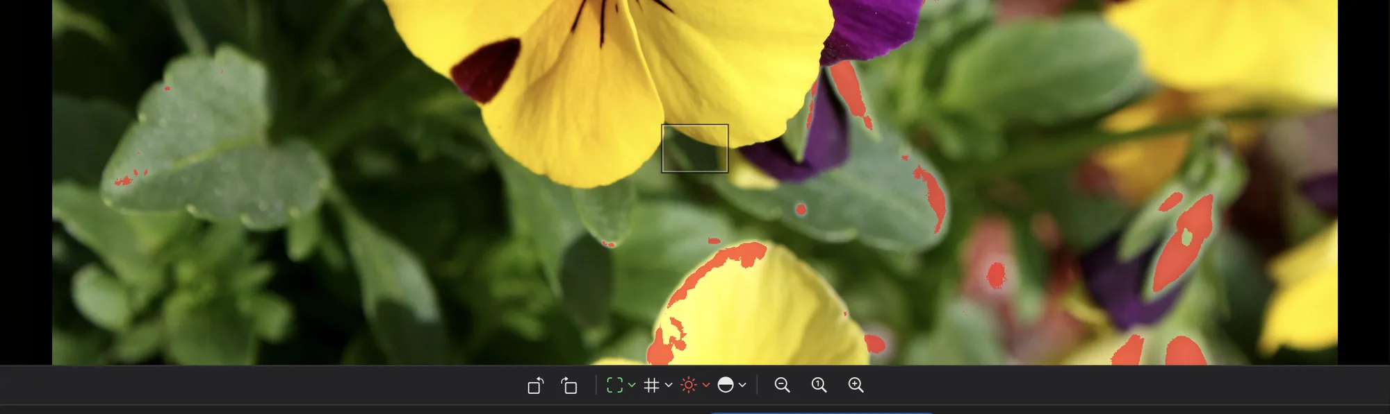 The toolbar under a photo with rotate, focus points, grid, blown areas, clipped blacks and zoom buttons.