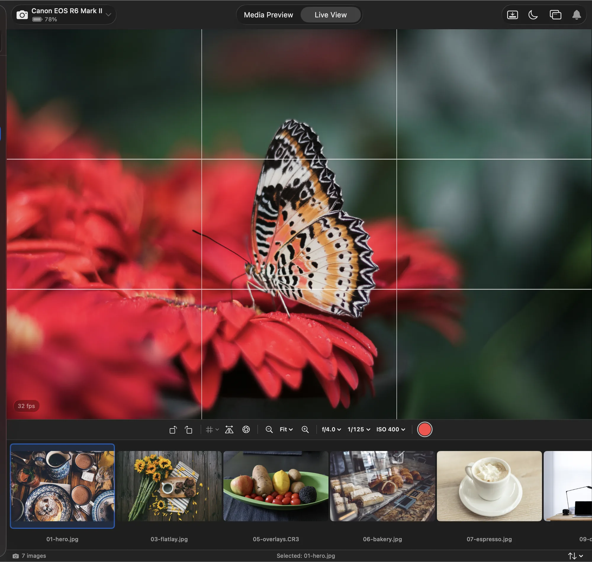 DSLR Assistant Live View canvas with a grid overlay and on-screen zoom, exposure and record controls